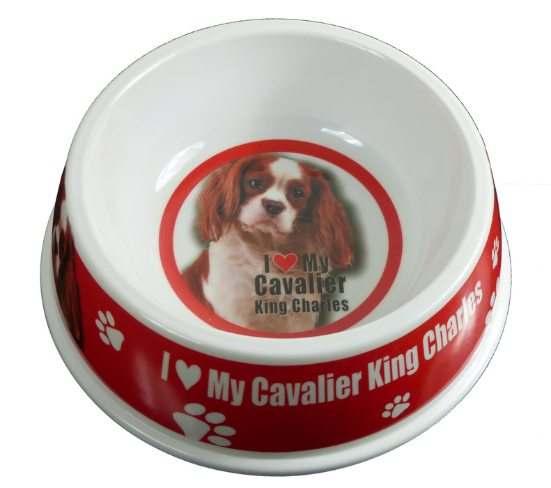 Pet Dog Feeding Bowls