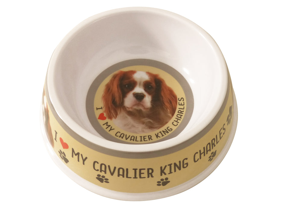 Pet Dog Feeding Bowls