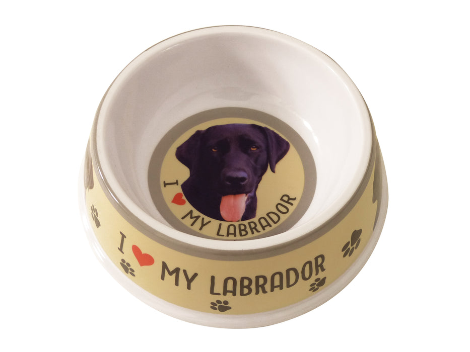 Pet Dog Feeding Bowls