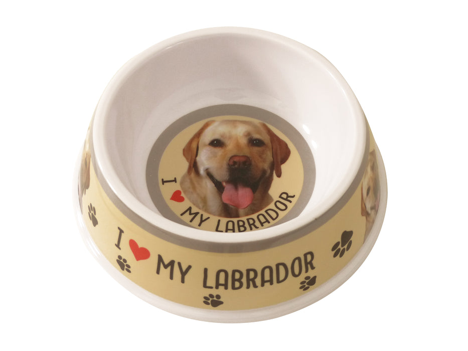 Pet Dog Feeding Bowls