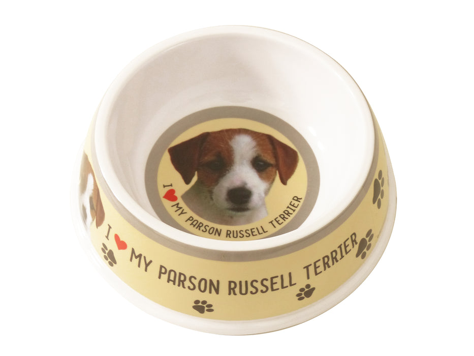 Pet Dog Feeding Bowls