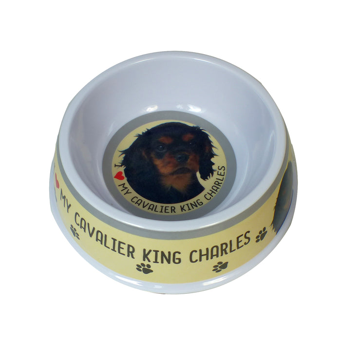 Pet Dog Feeding Bowls