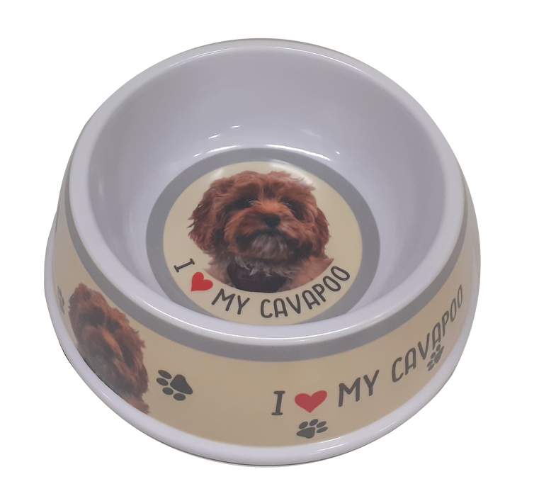 Pet Dog Feeding Bowls