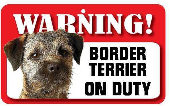 DS010 Border Terrier Pet Sign