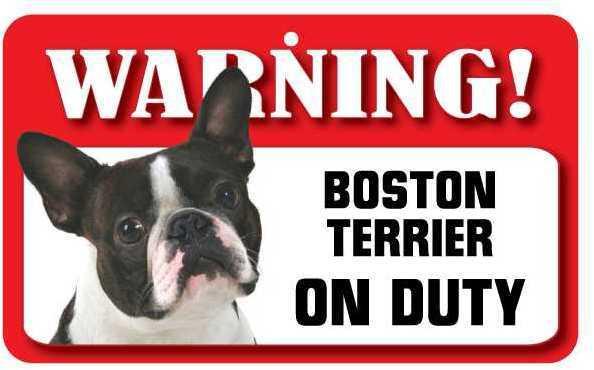 DS011 Boston Terrier Pet Sign
