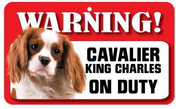 DS016 Cavalier King Charles Spaniel Pet Sign