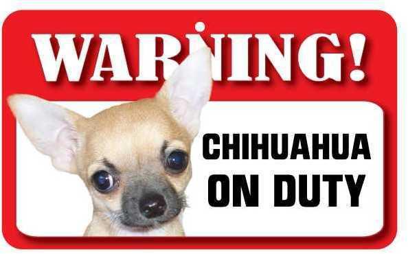 DS017 Smooth Coat Chihuahua Pet Sign