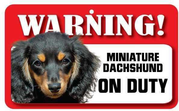 DS023 Long Haired Miniature Dachshund Pet Sign