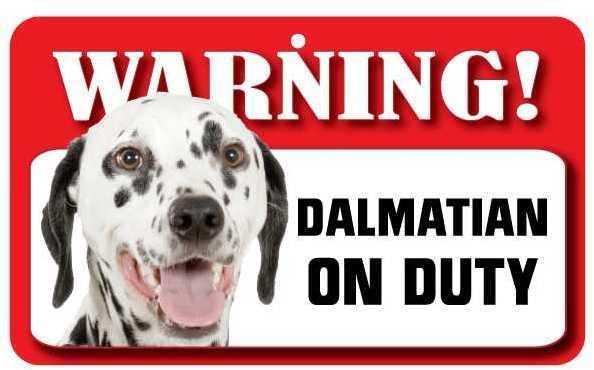 DS026 Dalmatian Pet Sign