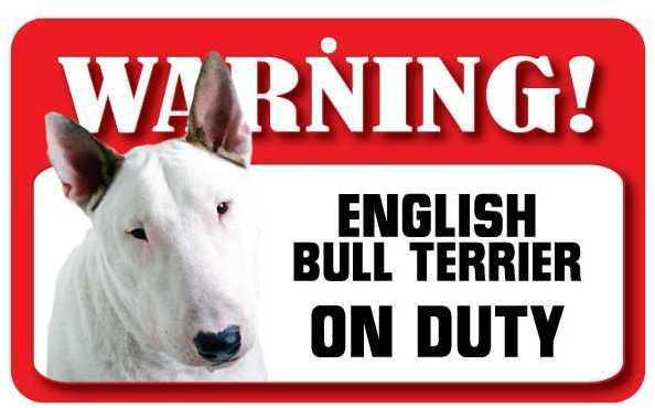 DS029 English Bull Terrier Pet Sign