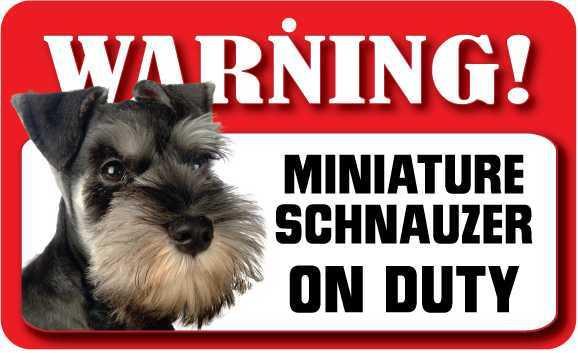 DS051 Miniature Schnauzer Pet Sign