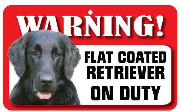 DS063 Flat Coated Retriever Pet Sign