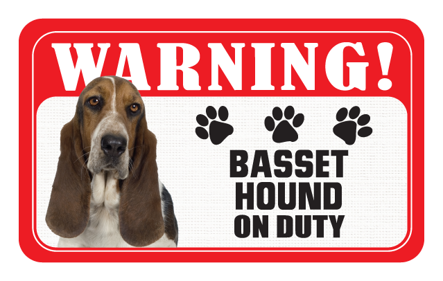 Basset Hound