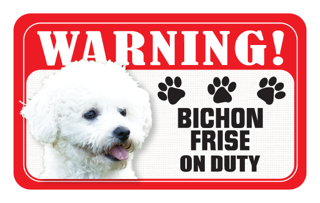 Bichon Frise