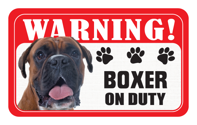 Boxer