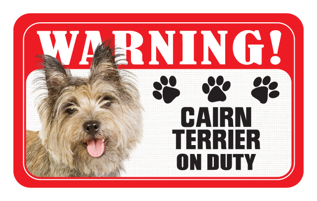 Cairn Terrier
