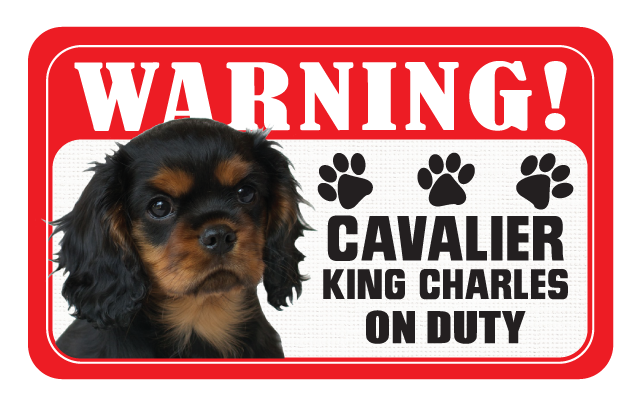 Cavalier (Ruby)