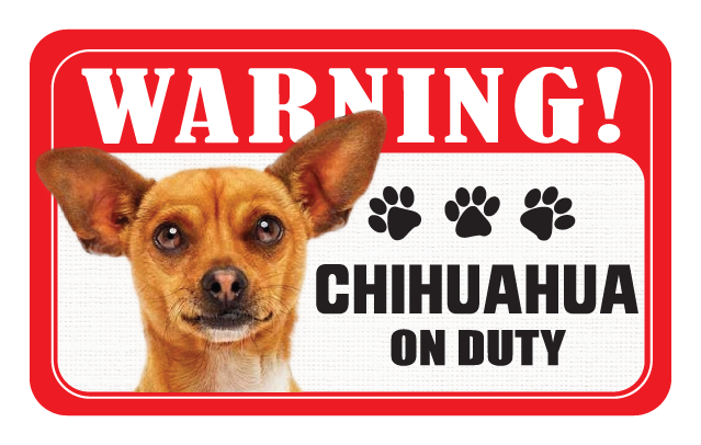 Chihuahua (Tan)