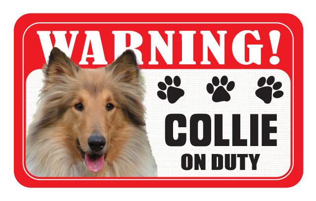 Collie (Rough)