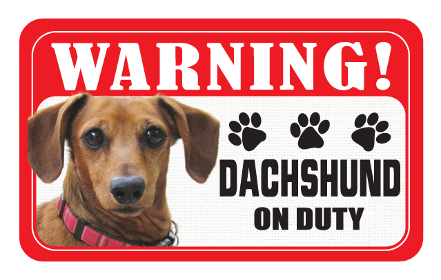 Dachshund (Smooth)