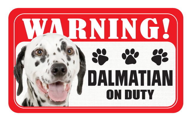 Dalmatian
