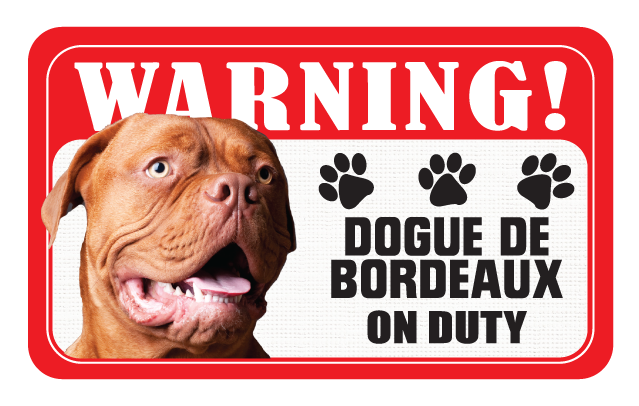 Dogue De Bordeaux