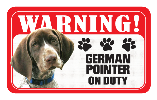 German Shorthaired Pointer