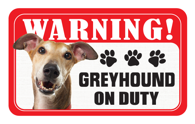 Greyhound