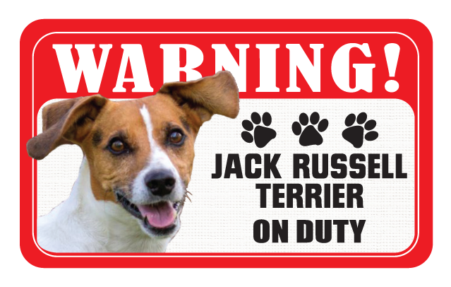 Jack Russell
