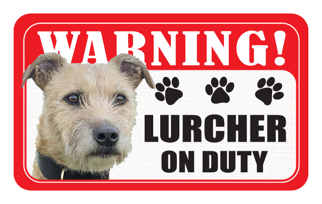 Lurcher
