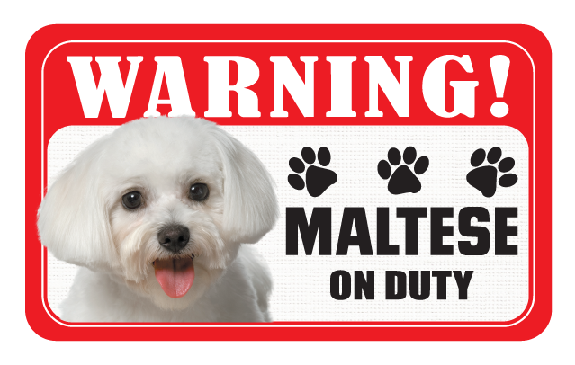 Maltipoo