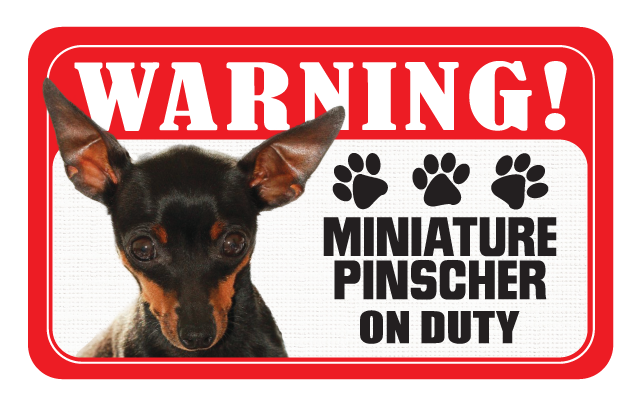 Miniature Pinscher