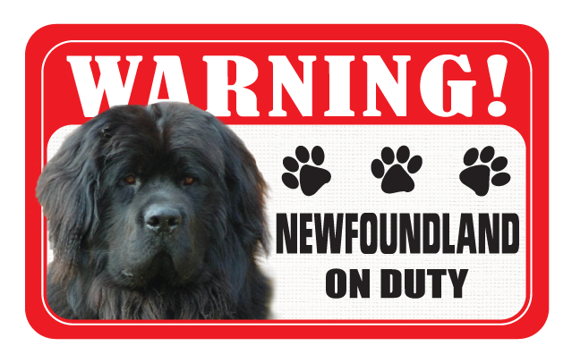 Newfoundland