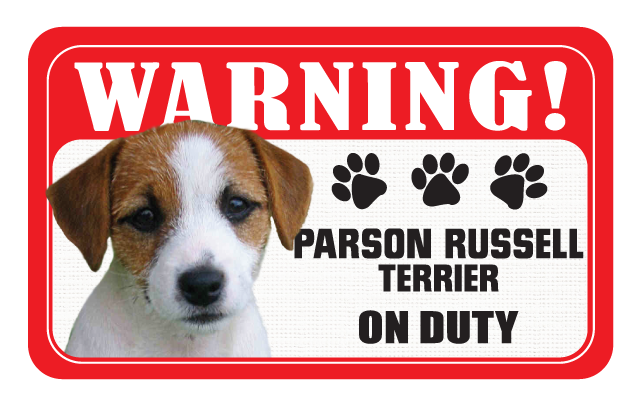 Parson Russell Terrier