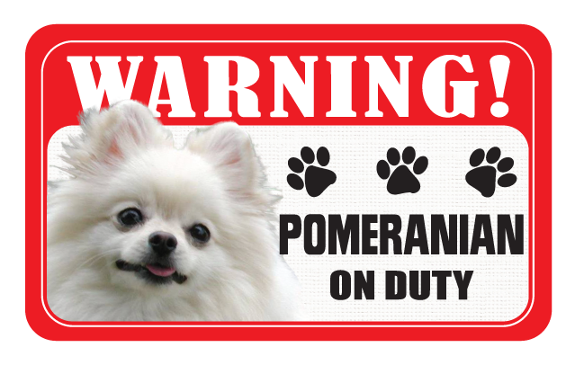 Pomeranian
