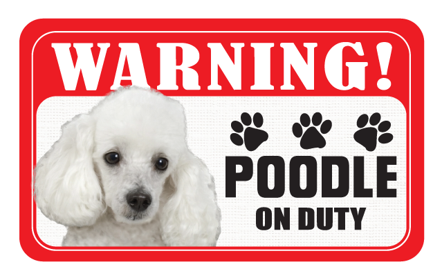 Poodle (White)