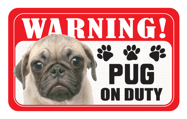 Pug (Cream)