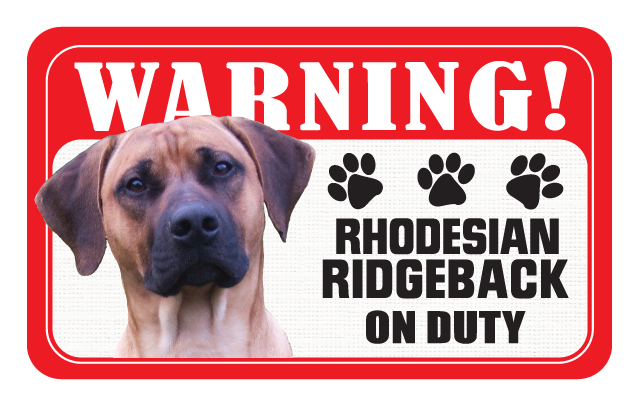 Rhodesian Ridgeback