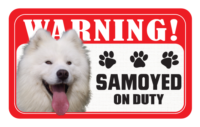 Samoyed
