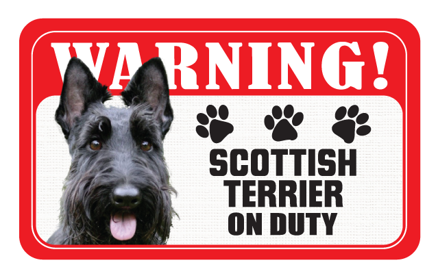 Scottish Terrier
