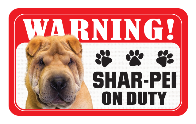 Shar-Pei