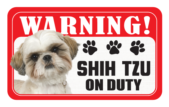 Shih Tzu