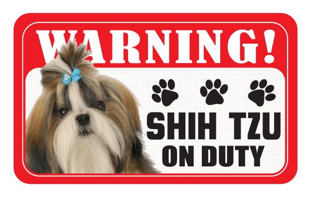 Shih Tzu (Unclipped)