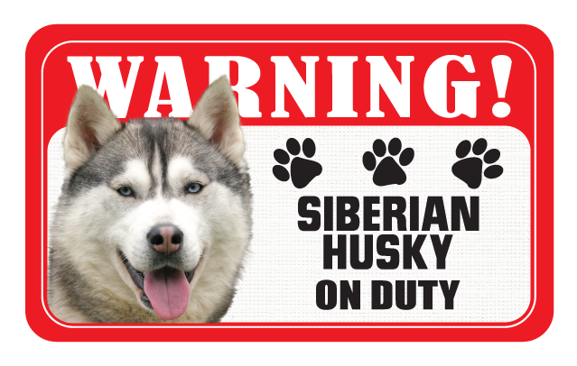 Siberian Husky