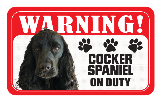 Cocker Spaniel