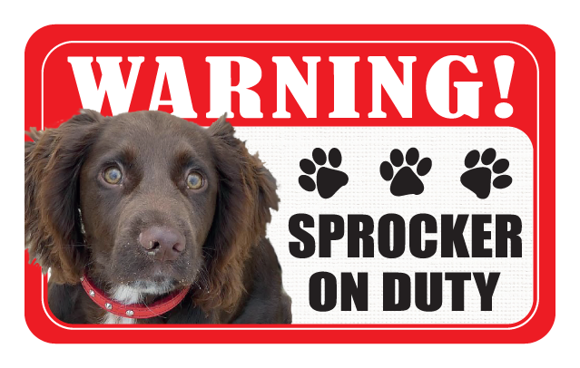 Sprocker
