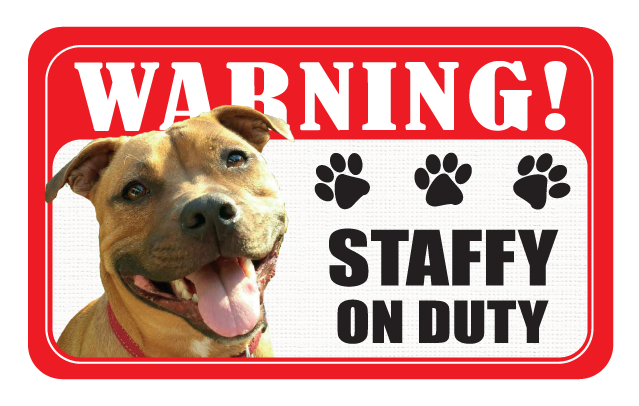 Staffy