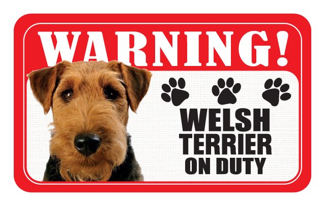 Welsh Terrier