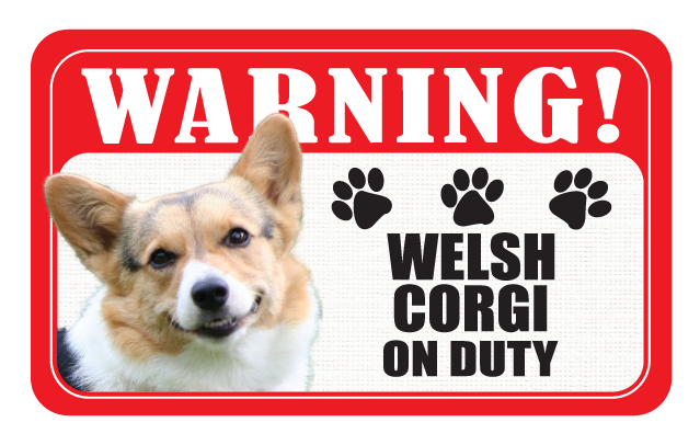 Welsh Corgi (Pembroke)