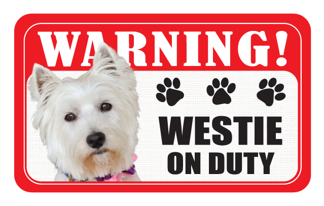 Westie
